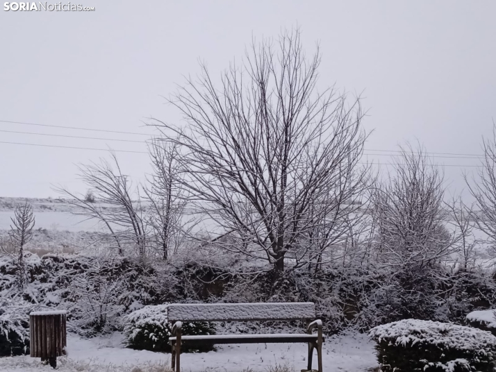 Fotos: San Pedro Manrique se despierta con un manto blanco de nieve