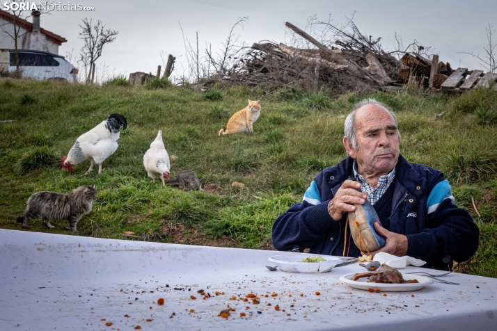 Foto a foto | Este pueblo de Soria pasa de 1 a 150 vecinos gracias al cerdo