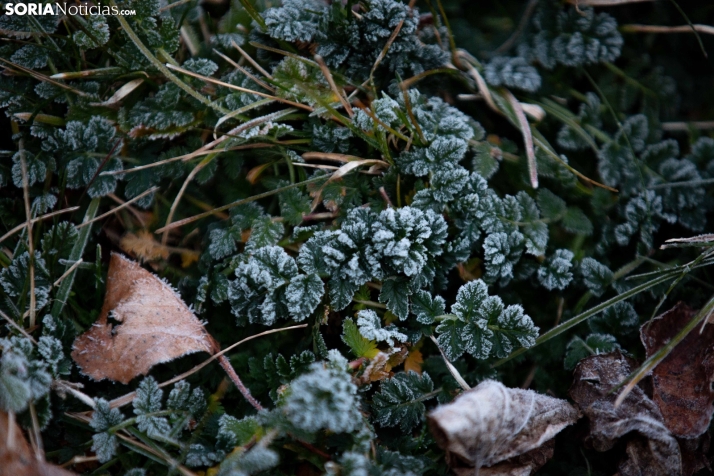 Aviso rojo por temperaturas mínimas en Soria: Previsión de -14ºC mañana por la mañana