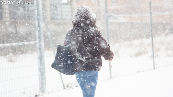 Pide ayuda para encontrar un recuerdo familiar perdido durante la nevada