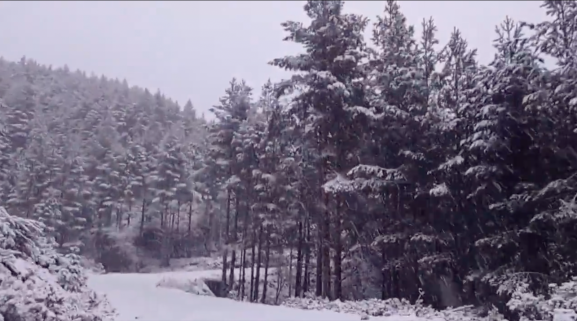 Frío y algo de nieve para terminar las fiestas en Soria