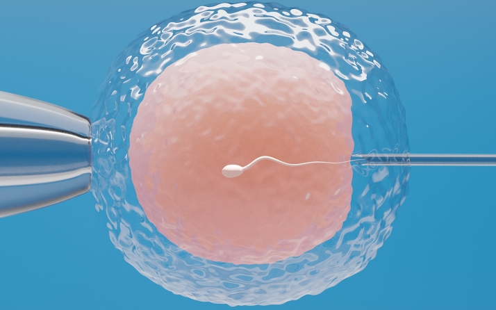 El viernes, charla sobre la reproducción asistida en el Casino