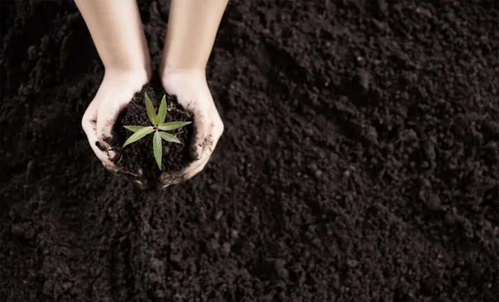 Todos los detalles de las subvenciones para la realización de actuaciones innovadoras de educación ambiental de Castilla y León