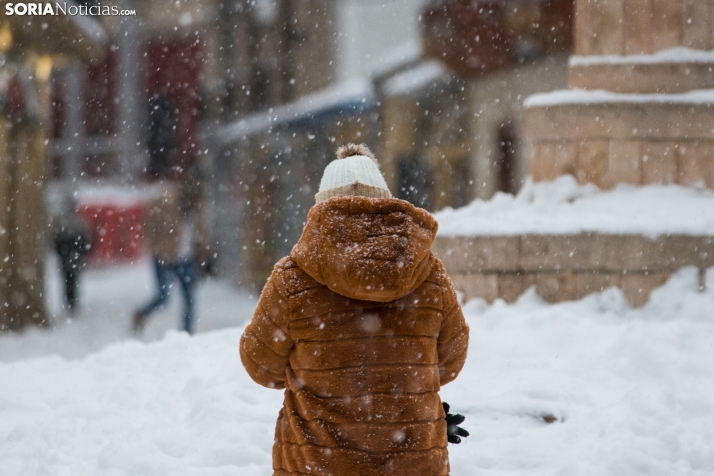 Comienza a nevar en Soria