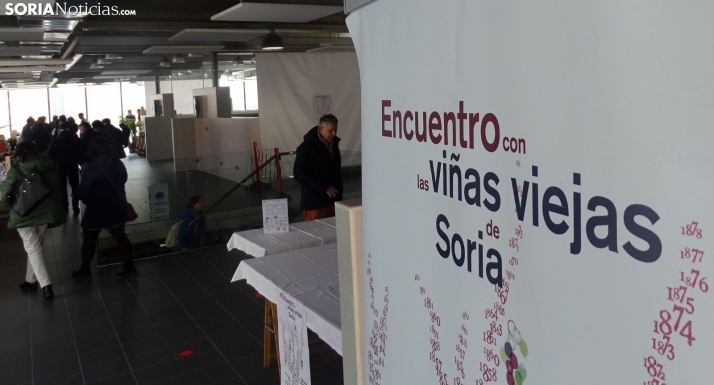 Soria, la bella durmiente