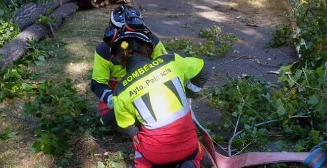 Localizan un cadáver en la zona de búsqueda de un varón desaparecido en Palencia