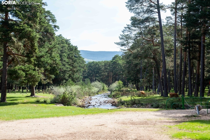 El Ayuntamiento de Covaleda contrata a dos jóvenes para ofrecerles su primer empleo verde