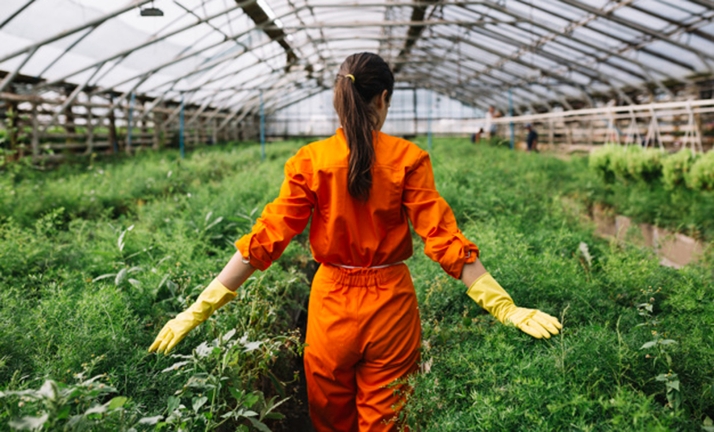 Castilla y León incorpora a 766 jóvenes al sector agrario en 2023