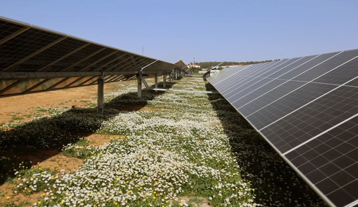 Solarig suma apoyos: Banca March se implica en los proyectos de la compañía nacida en Soria