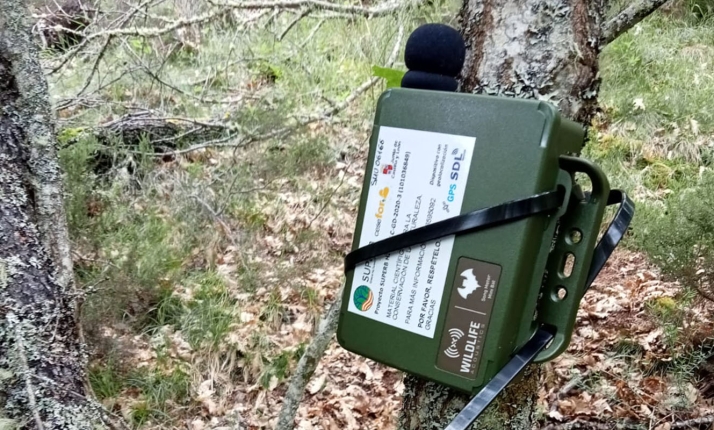 Cesefor y Junta presentan un proyecto  de restauración del hábitat del oso pardo en El Bierzo