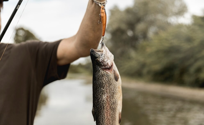 Denunciados en Soria por pesca ilegal
