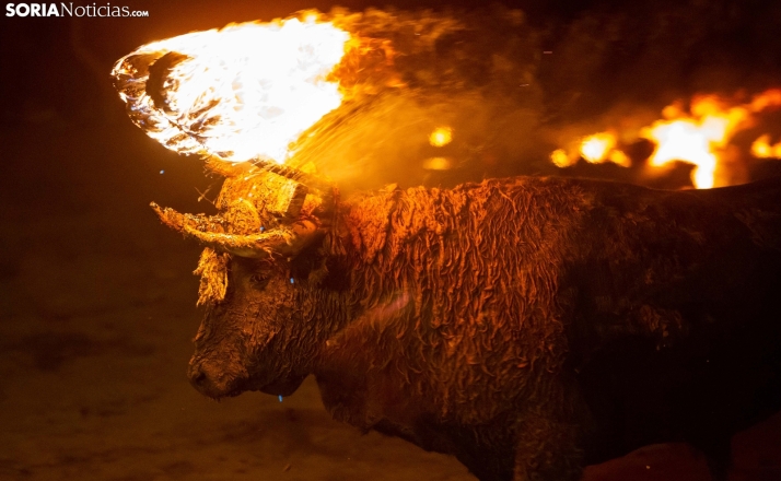 PACMA formaliza su demanda contra el Toro Jubilo