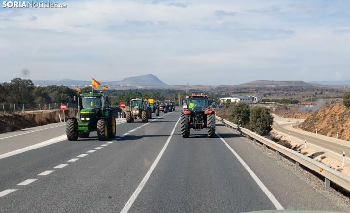 Crónica de la tractorada multitudinaria de Soria: Cientos de agricultores y ganaderos toman las carreteras 