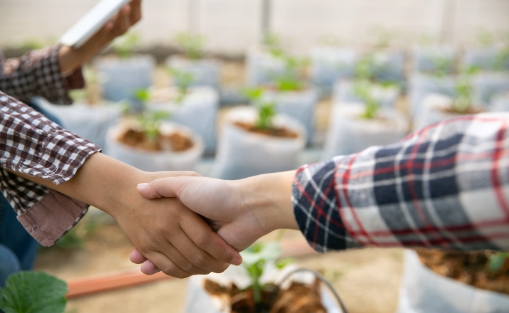 Castilla y León incluye un capítulo dedicado exclusivamente a la Economía Social en el medio rural 