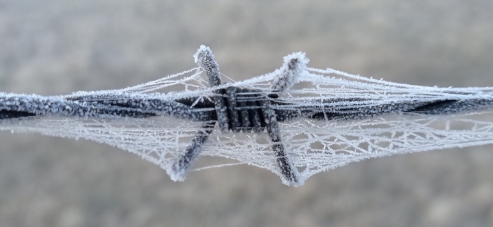 Soria despide febrero con un descenso acusado de las mínimas