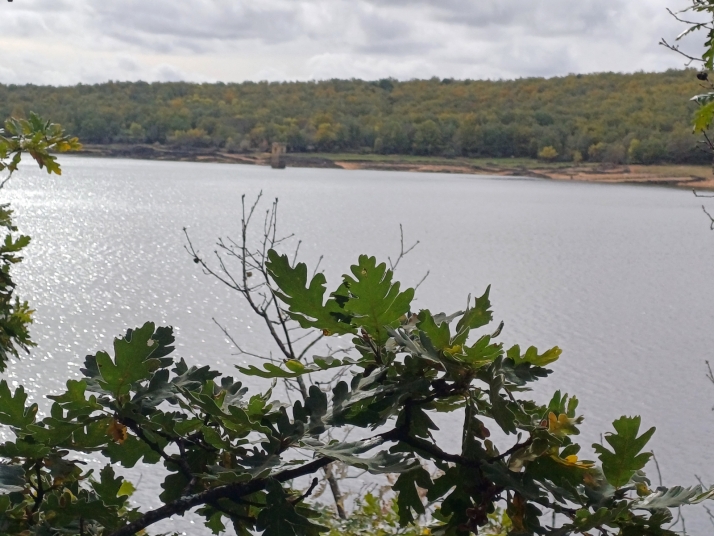 Las reservas del pantano siguen subiendo