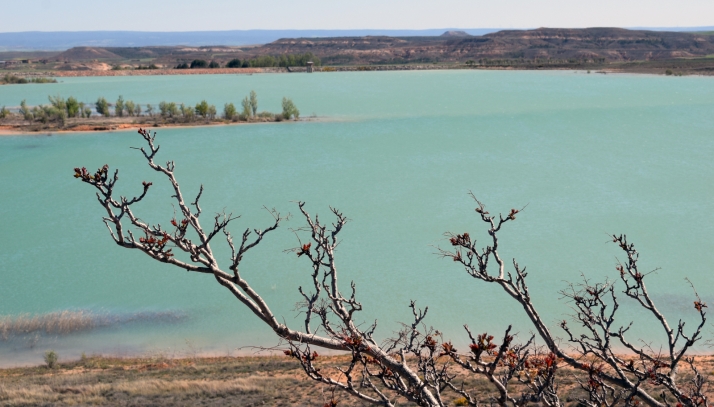 El embalse de Monteagudo aumenta sus reservas