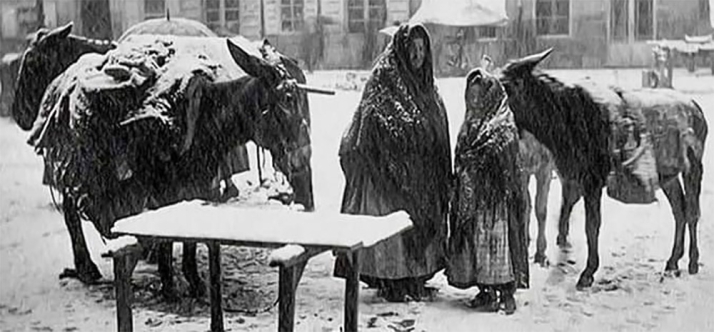 El suceso de un pueblo de Soria que llevó a cambiar la Ley forestal de España