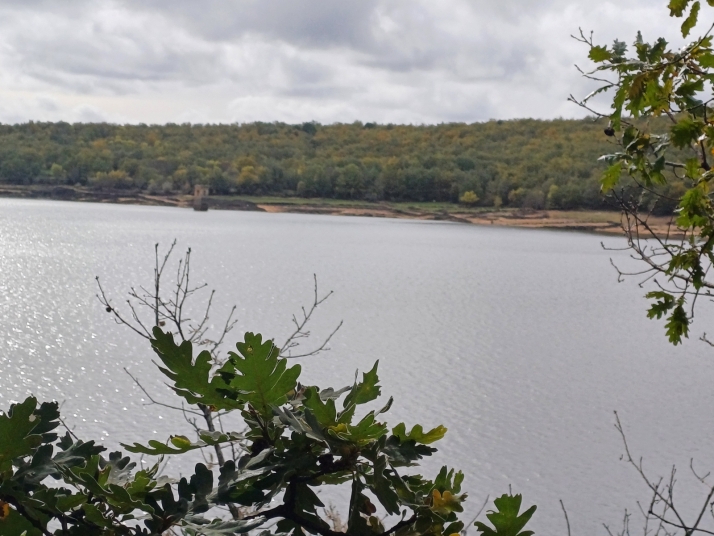 Las reservas del pantano vuelven a subir