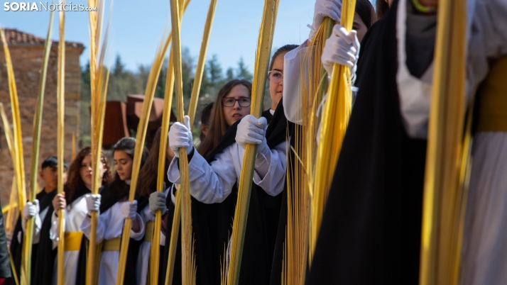 EN FOTOS | La Borriquilla sale a la calle para celebrar el día más feliz de la Semana Santa de Soria