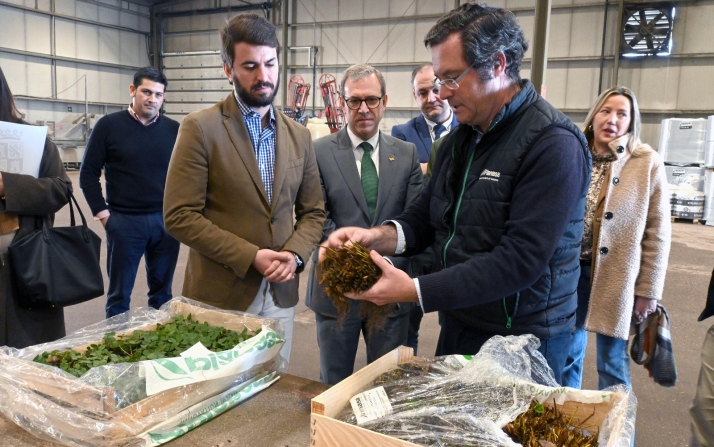 García-Gallardo advierte que el exceso de restricciones y burocracia amenazan el pujante sector de la fresa de Castilla y León