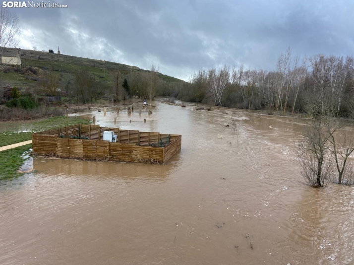 El Duero, más que fuerte, a su paso por Garray