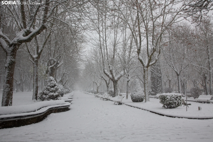 Nuevas ayudas para las áreas de Castilla y León afectadas por la borrasca Juan