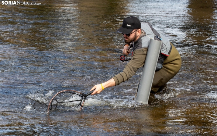 Estas son las claves de la pesca de la trucha en Soria: Ríos, fechas y trucos