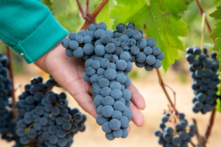 La Junta impulsa las exportaciones en el área Asia-Pacífico con la presencia en Singapur de 26 empresas de la Comunidad