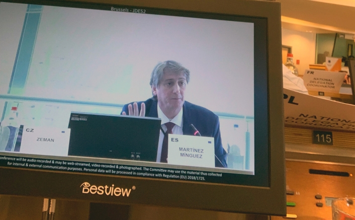 Mínguez participa en el Comité de las Regiones durante una sesión sobre la reforma de la política de cohesión entre territorios