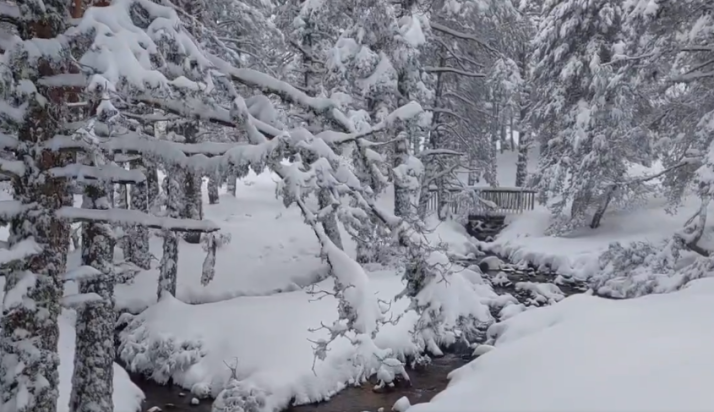 Vídeo: Urbión estrena abril con una nevada de postal, pero efímera