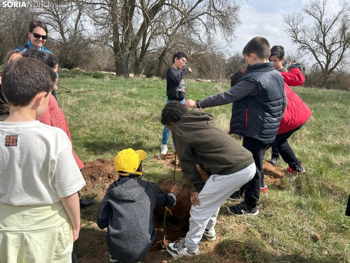 Se pone en marcha un ‘Bosque Sostenible’ en el municipio de Covaleda