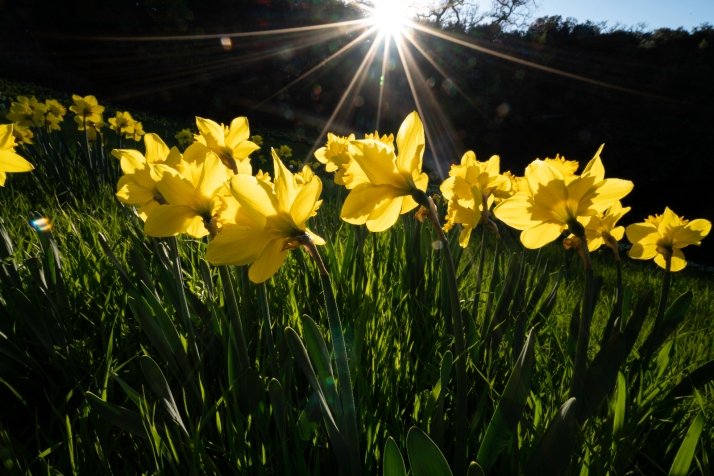 Ahora sí, ya es primavera en Soria