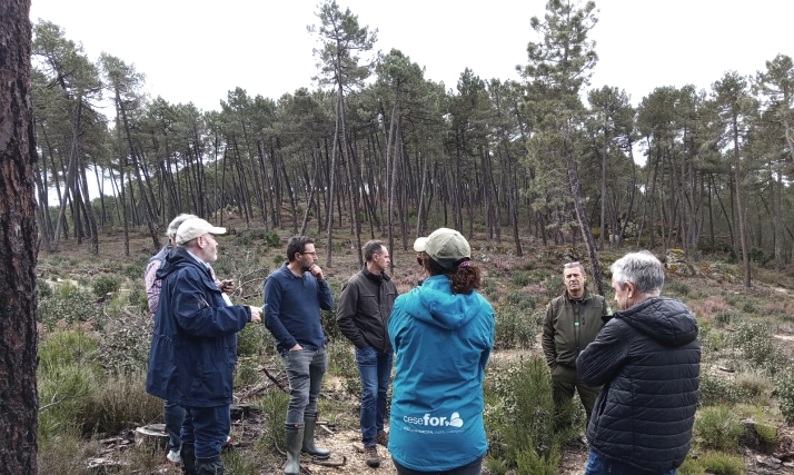 Cesefor: Nuevo respaldo a la certificación de gestión forestal sostenible de los montes de Castilla y León 