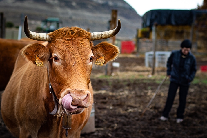 Onphoto Soria llenará el Espacio Alameda de fotografía social