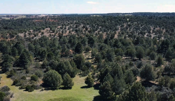 Boós recupera su monte de socios