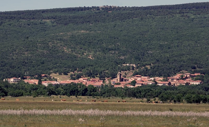 El Royo contará con una planta fotovoltaica para abastecer a sus edificios