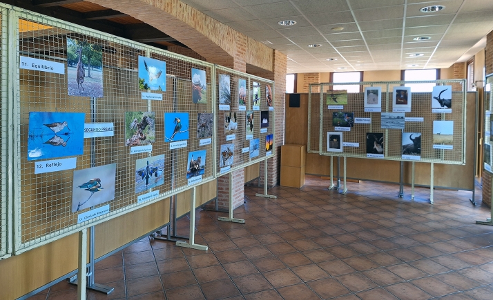 Abre la expo fotográfica del concurso de la feria Venalmazán