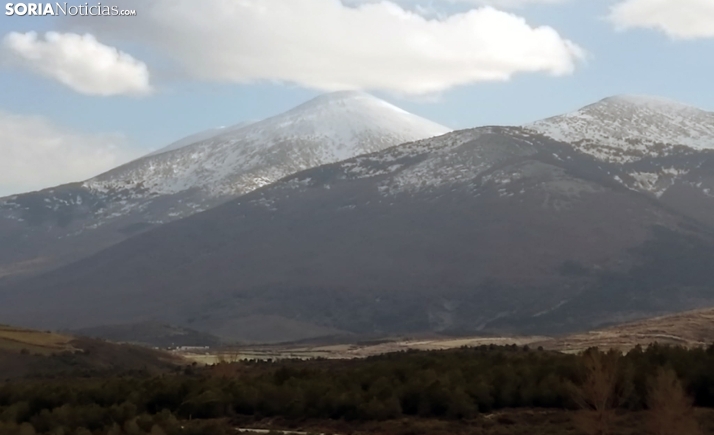 Castilla y León participa en un Living Lab internacional de cara a formalizar el Parque Micológico del Moncayo aragonés