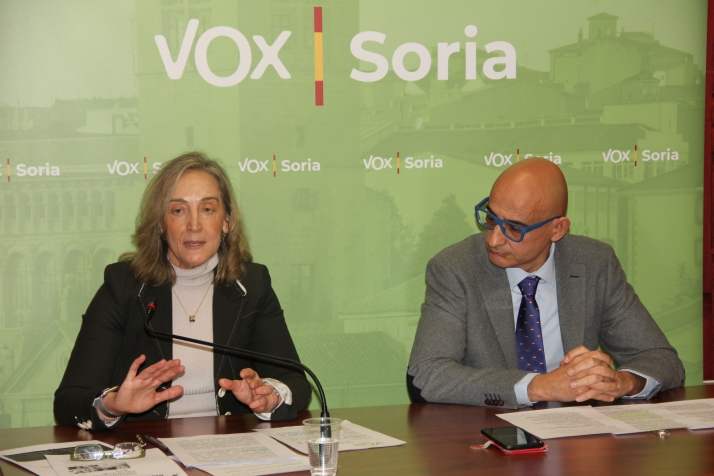 Creación de una oficina permanente y de una incubadora, beneficios fiscales y formación a emprendedores, entre las propuestas de Vox al plan de atracción de empresas