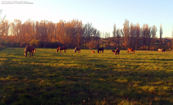 Castilla y León aumenta hasta los 19,8 M€ las ayudas a la agricultura de precisión y tecnologías 4.0 