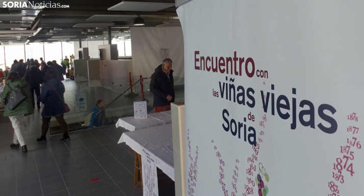 San Esteban acoge este sábado el V Encuentro Viñas Viejas de Soria