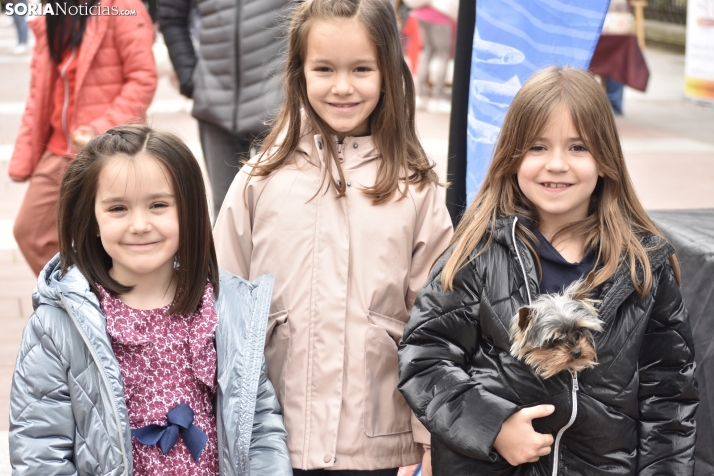 En fotos: Los amigos de cuatro patas, protagonistas de una tierna feria