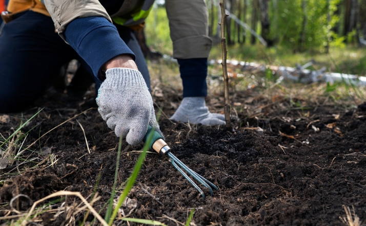 Agro-jardinería y Gestión de sistemas informáticos, nuevas ofertas de FP en Soria para el curso que viene