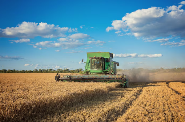 La Junta no descarta volver a prohibir cosechar en Castilla y León a pesar de lo sucedido con la cosecha de 2022 en Soria
