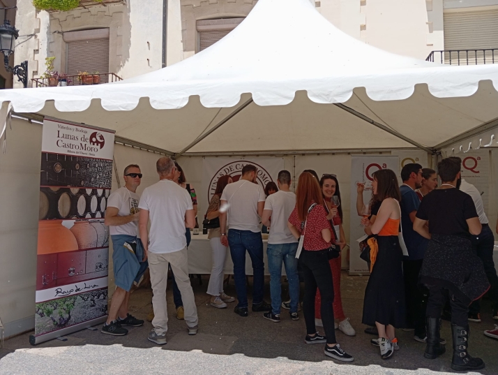 Las Viñas Viejas de Soria ponen en valor el vino de la Ribera soriana vinculado su clima y su suelo