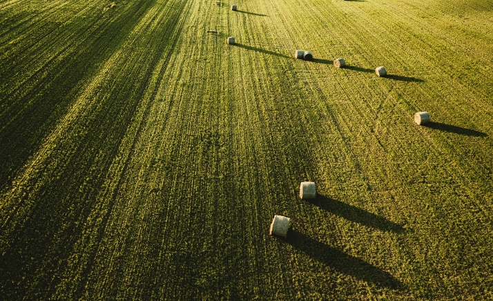 Castilla y León lanza una nueva convocatoria de incorporación a nuevos contratos plurianuales de ayudas agroambientales por 32,5 M€