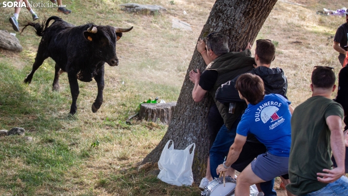 GALERÍA | Así ha sido el Lavalengüillas esta mañana de sábado