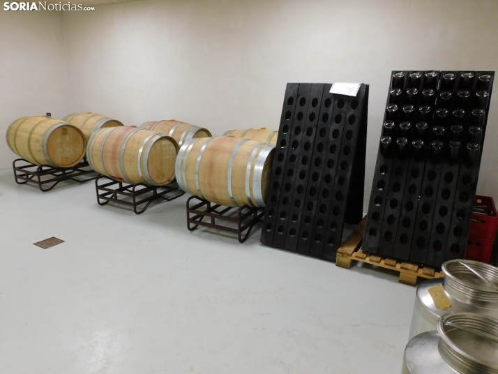 Conviértete en un profesional del vino con el Grado Superior en Vitivinicultura de San Esteban de Gormaz