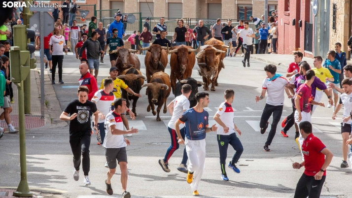 Galería: El encierro de Soria llena de adrenalina las calles de la ciudad